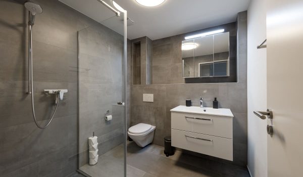 Spiez_Oberlandstr37_2333