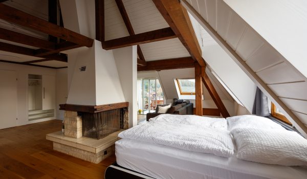 Spiez_Oberlandstr37_2542